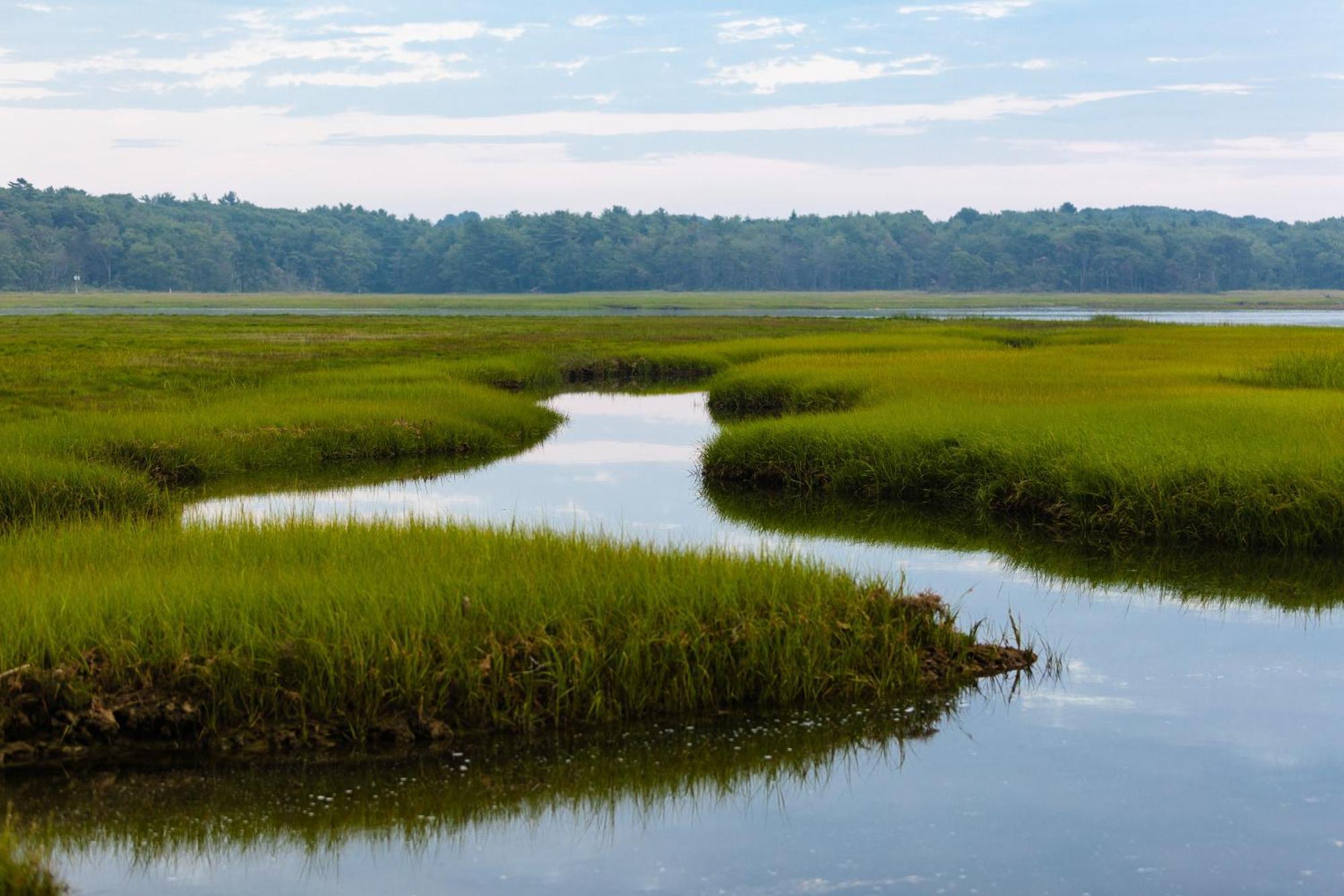 Charming Kennebunk Studio Cottage With Beach Access エクステリア 写真